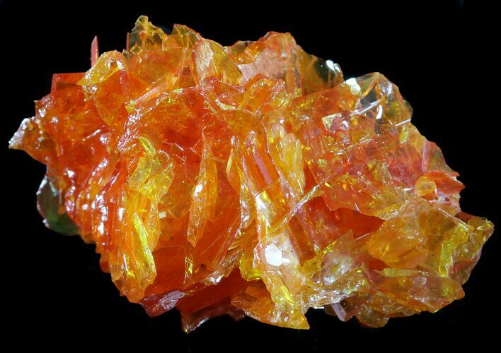 Bright Orange Wulfenite Cluster - Rowley Mine, AZ #49324